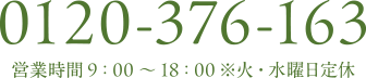 0120-376-163