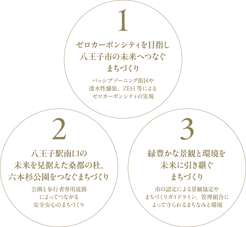 1.ゼロカーボンシティを目指し八王子市の未来へつなぐまちづくり、2.八王子駅南口の
未来を見据えた桑都の杜、六本杉公園をつなぐまちづくり、3.緑豊かな景観と環境を未来に引き継ぐまちづくり